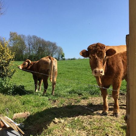 Vakantiewoning Kleijnen Noorbeek Exterior foto