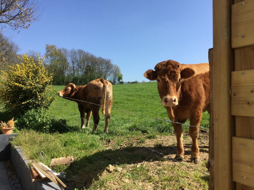 Vakantiewoning Kleijnen Noorbeek Exterior foto